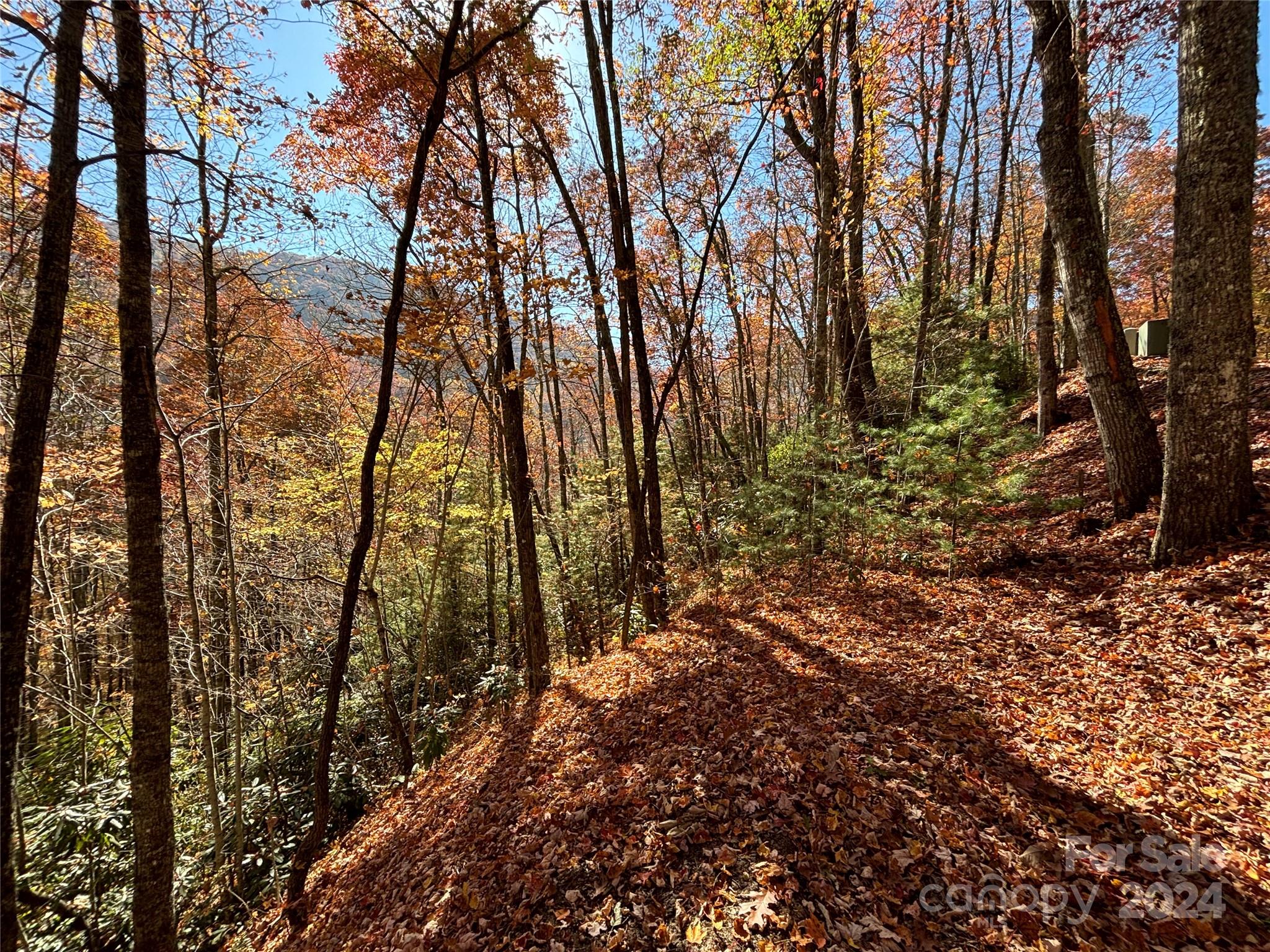 Lot 33 Coppermine Ridge 33
