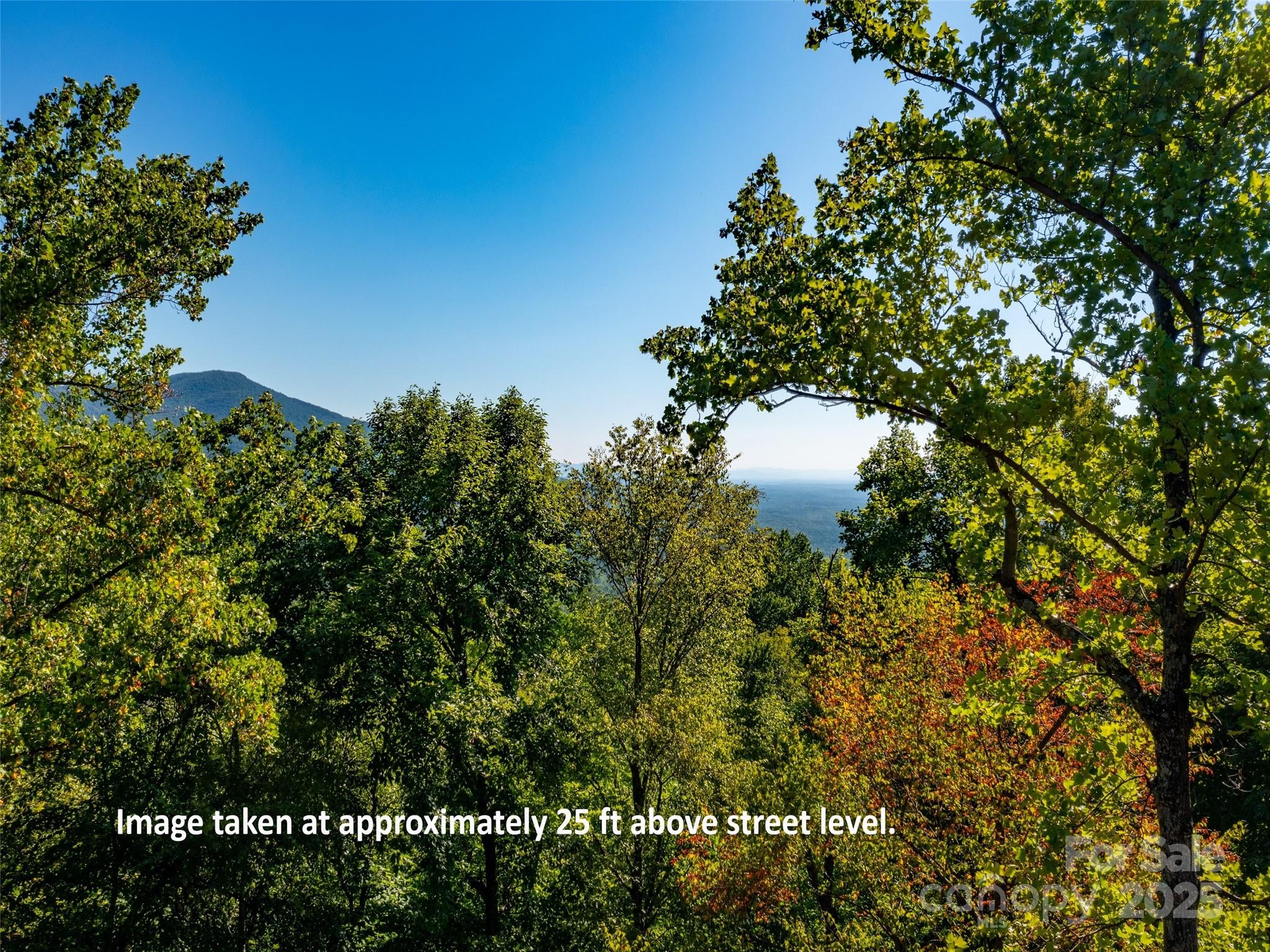 2140 Harm Creek Loop Property Photo 3