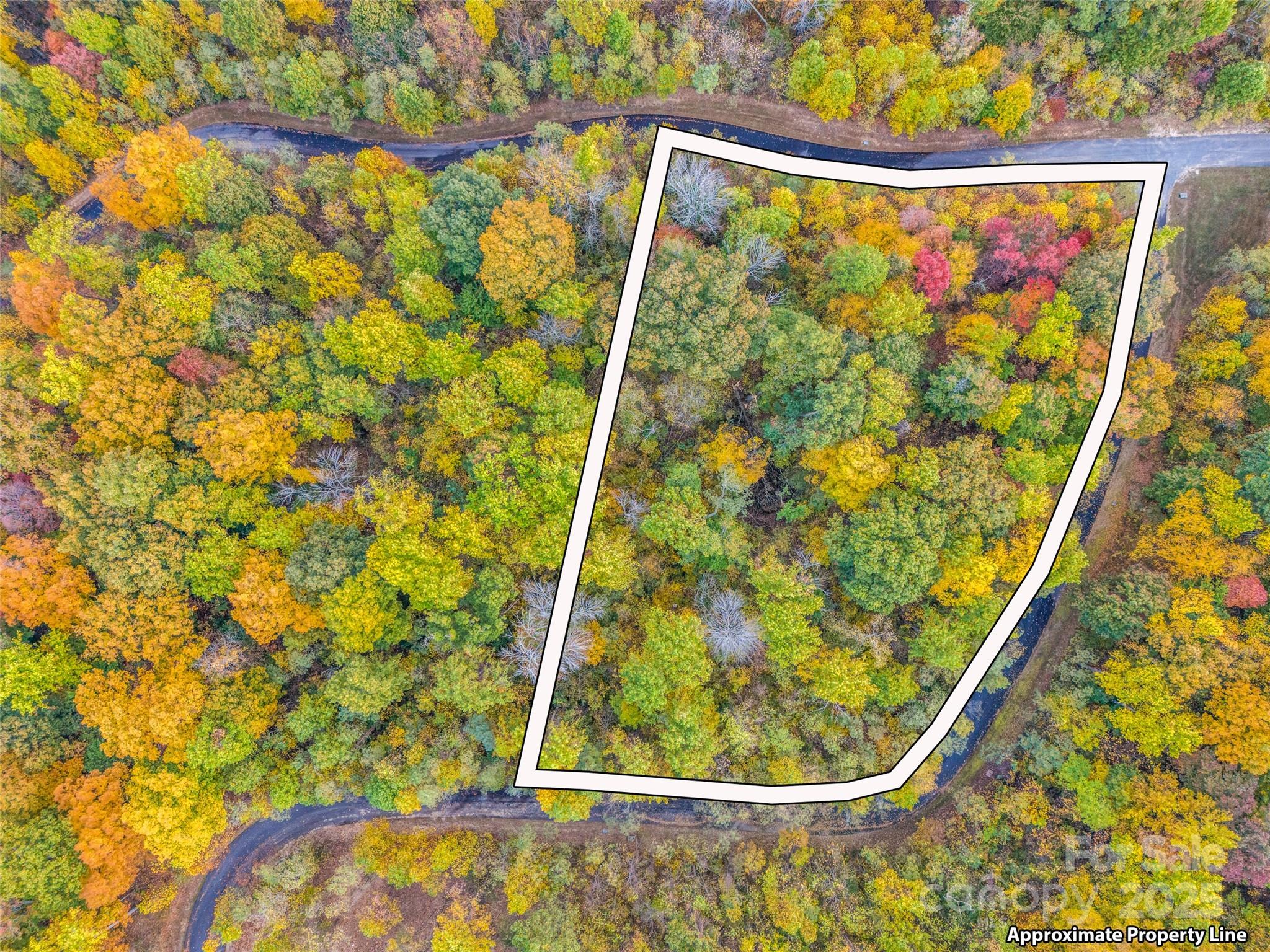 2140 Harm Creek Loop Property Photo 7