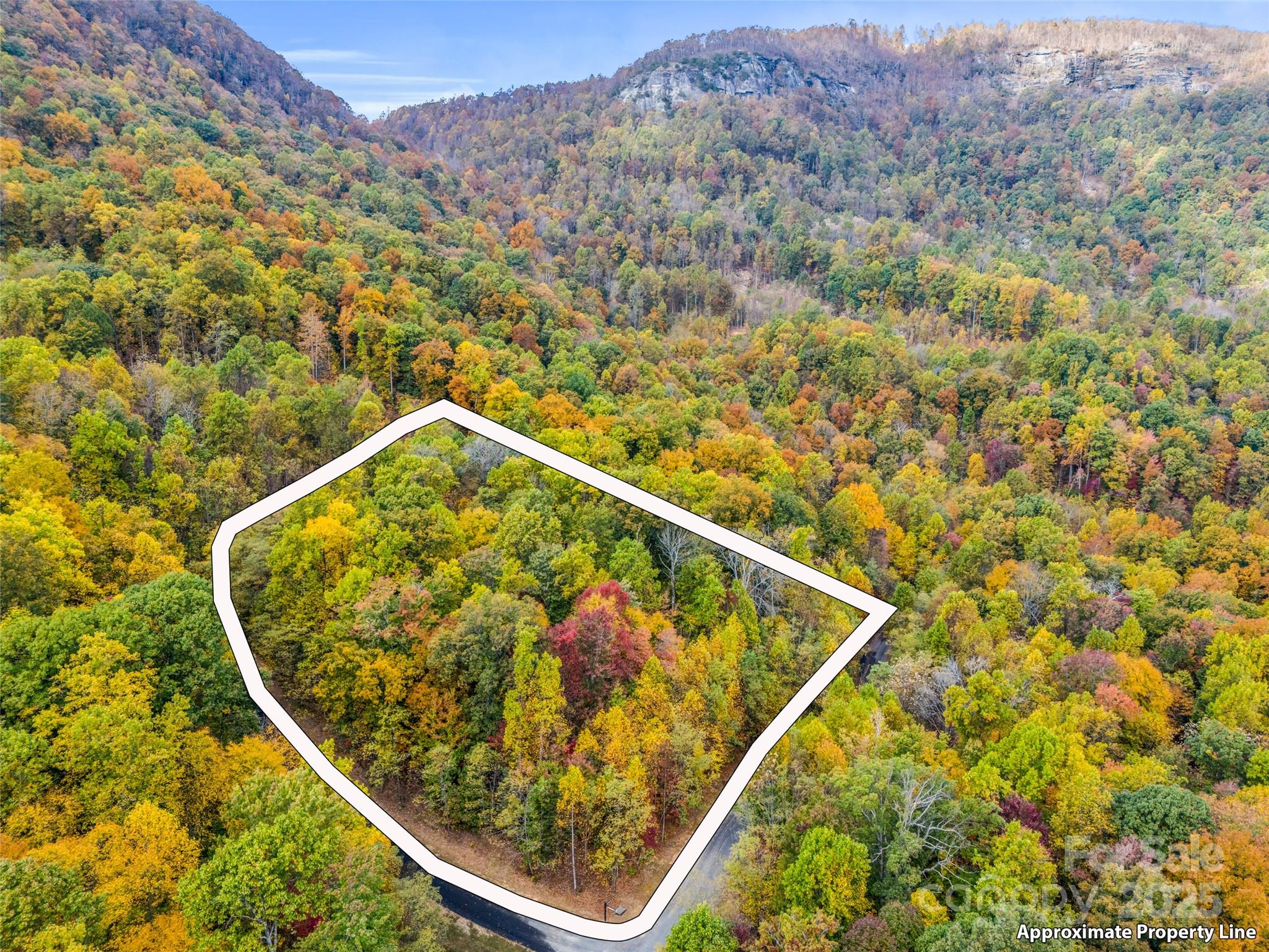 2140 Harm Creek Loop Property Photo 20