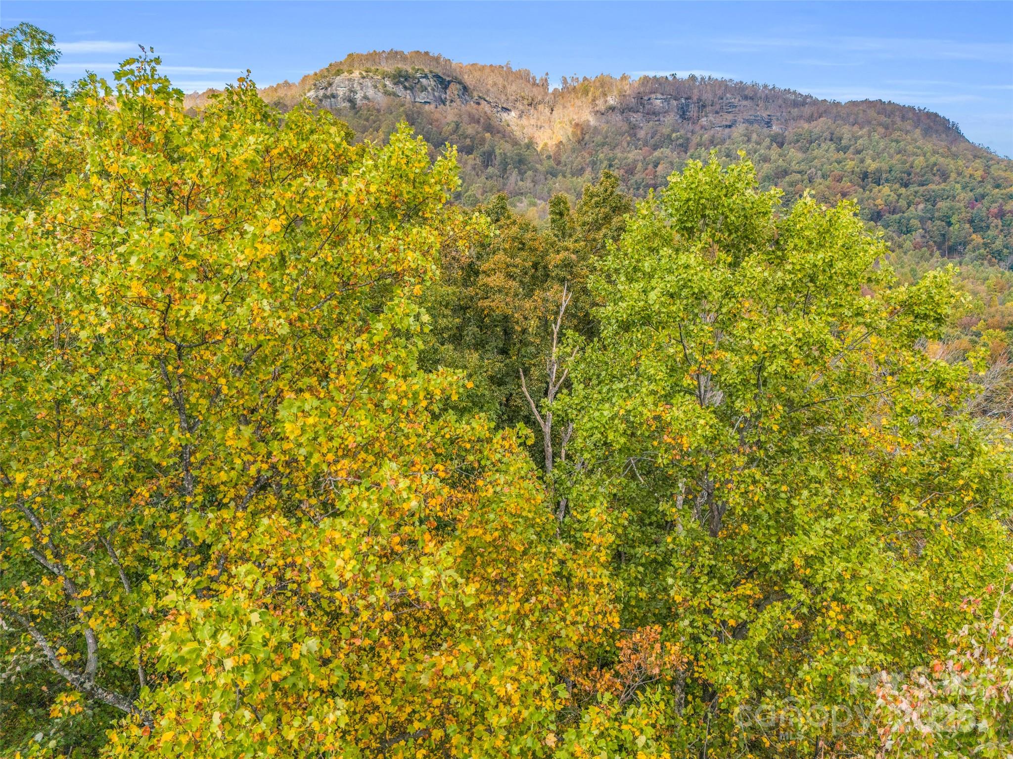 2140 Harm Creek Loop Property Photo 22
