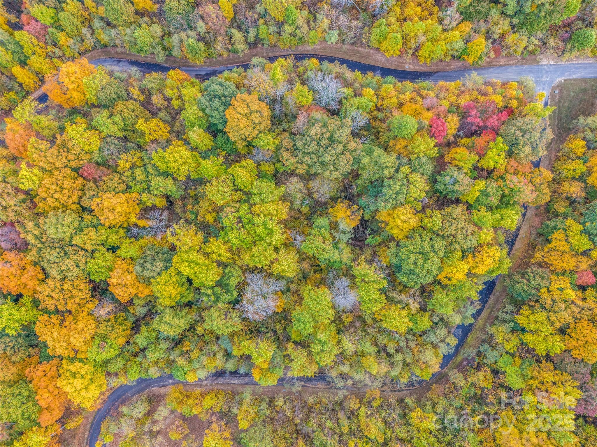 2140 Harm Creek Loop Property Photo 23