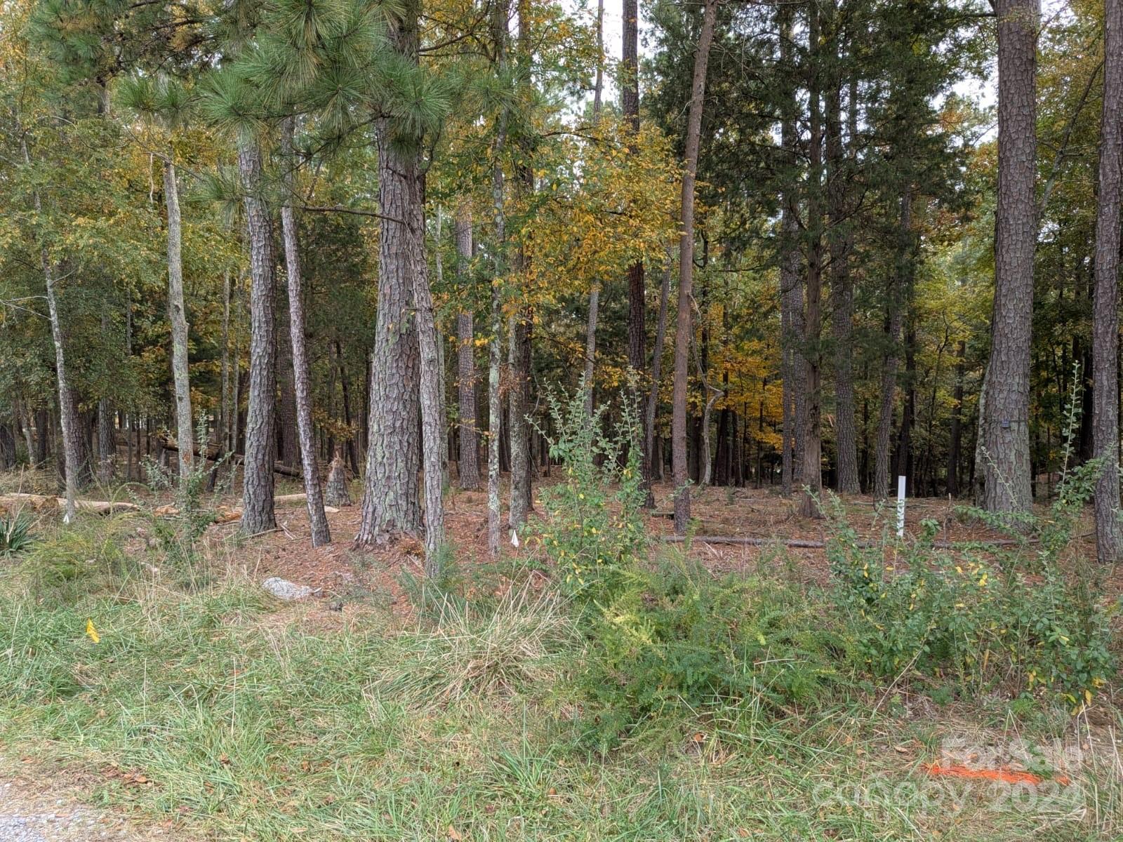 3.447 Acres Spratt Road Property Photo 3