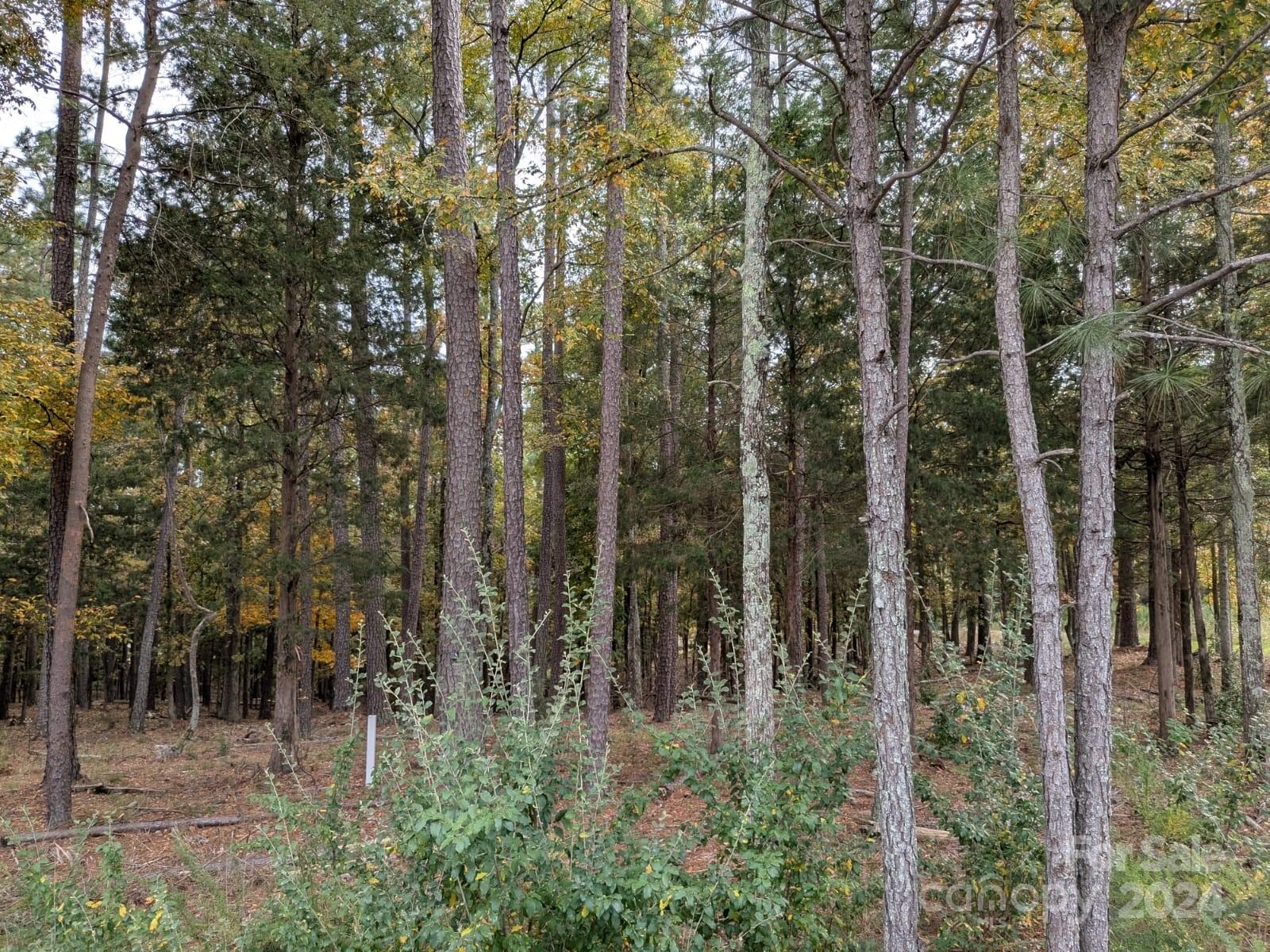 3.447 Acres Spratt Road Property Photo 4