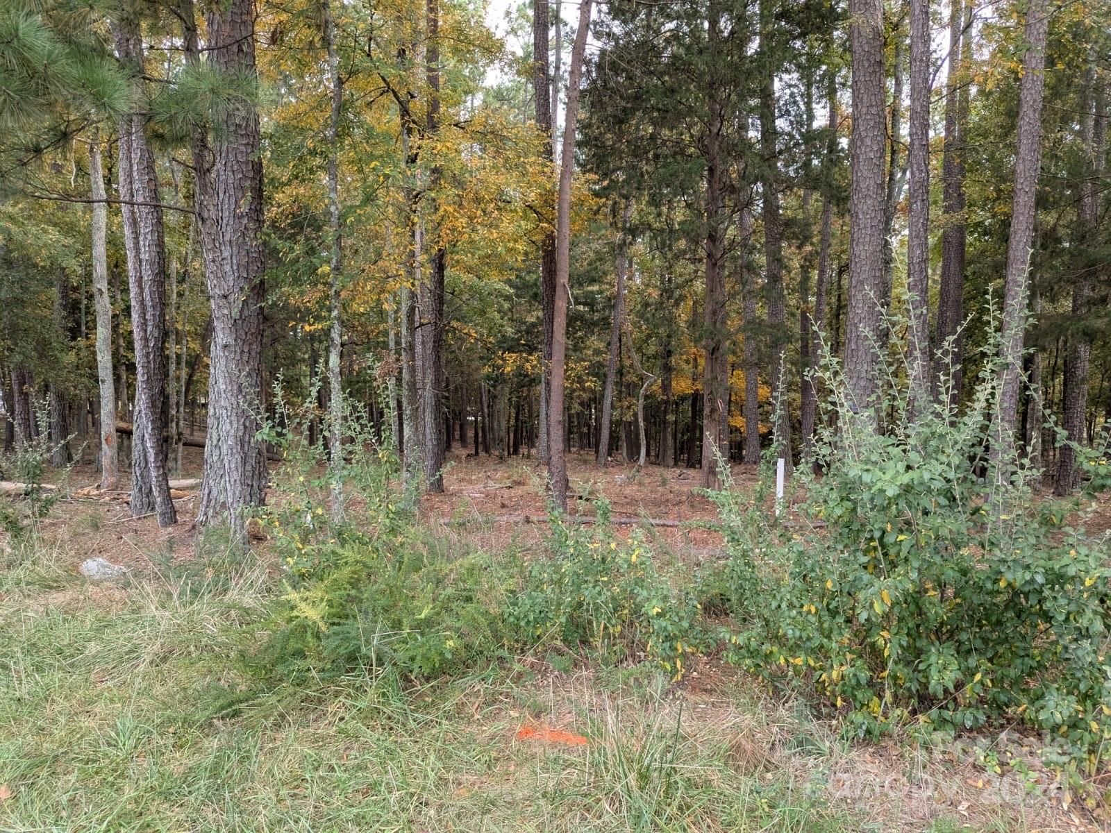 3.447 Acres Spratt Road Property Photo 5