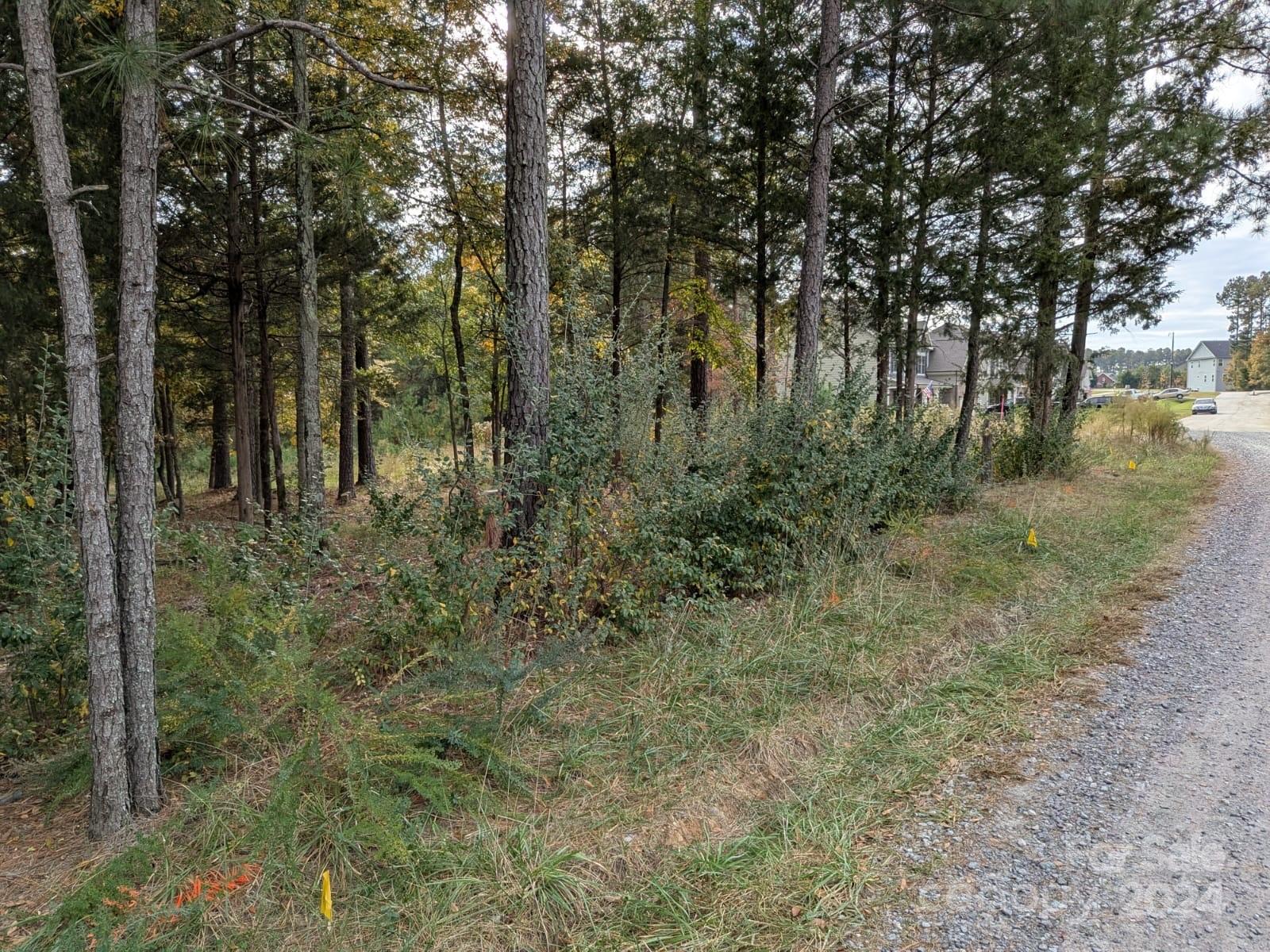 3.447 Acres Spratt Road Property Photo 6