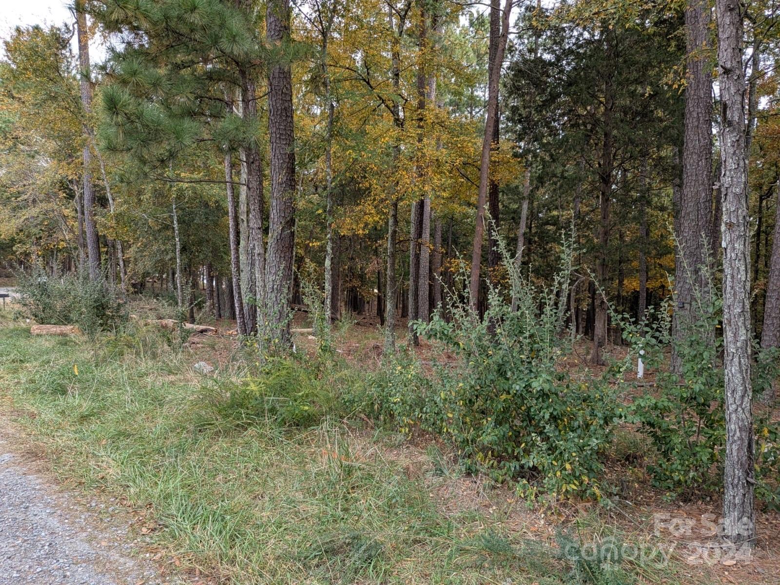 3.447 Acres Spratt Road Property Photo 7