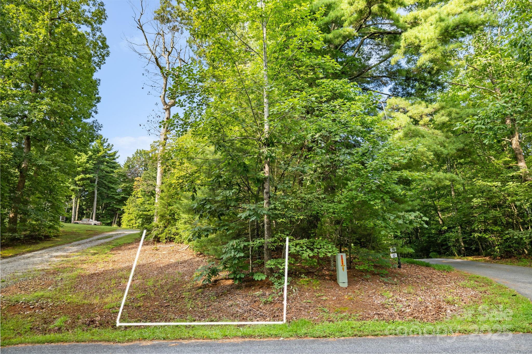 000 Thad Johnson Road Property Photo 8