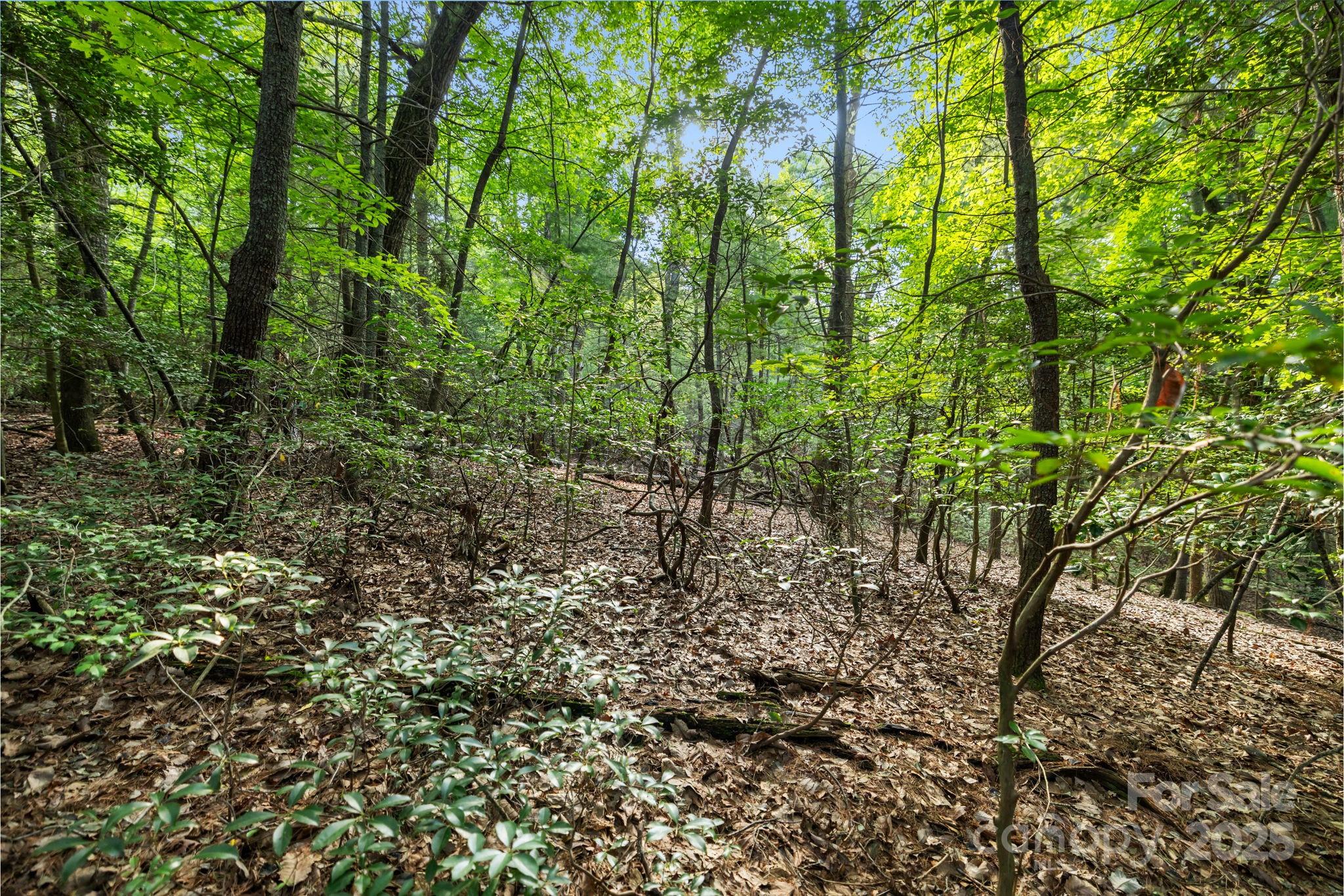 000 Thad Johnson Road Property Photo 15