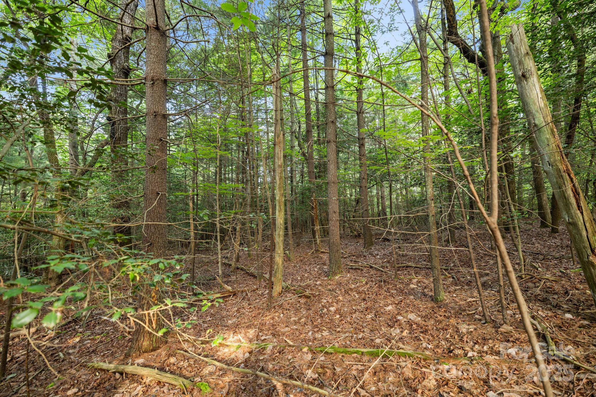 000 Thad Johnson Road Property Photo 16