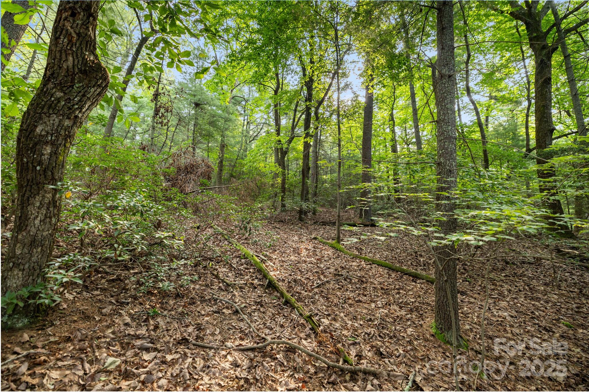 000 Thad Johnson Road Property Photo 18
