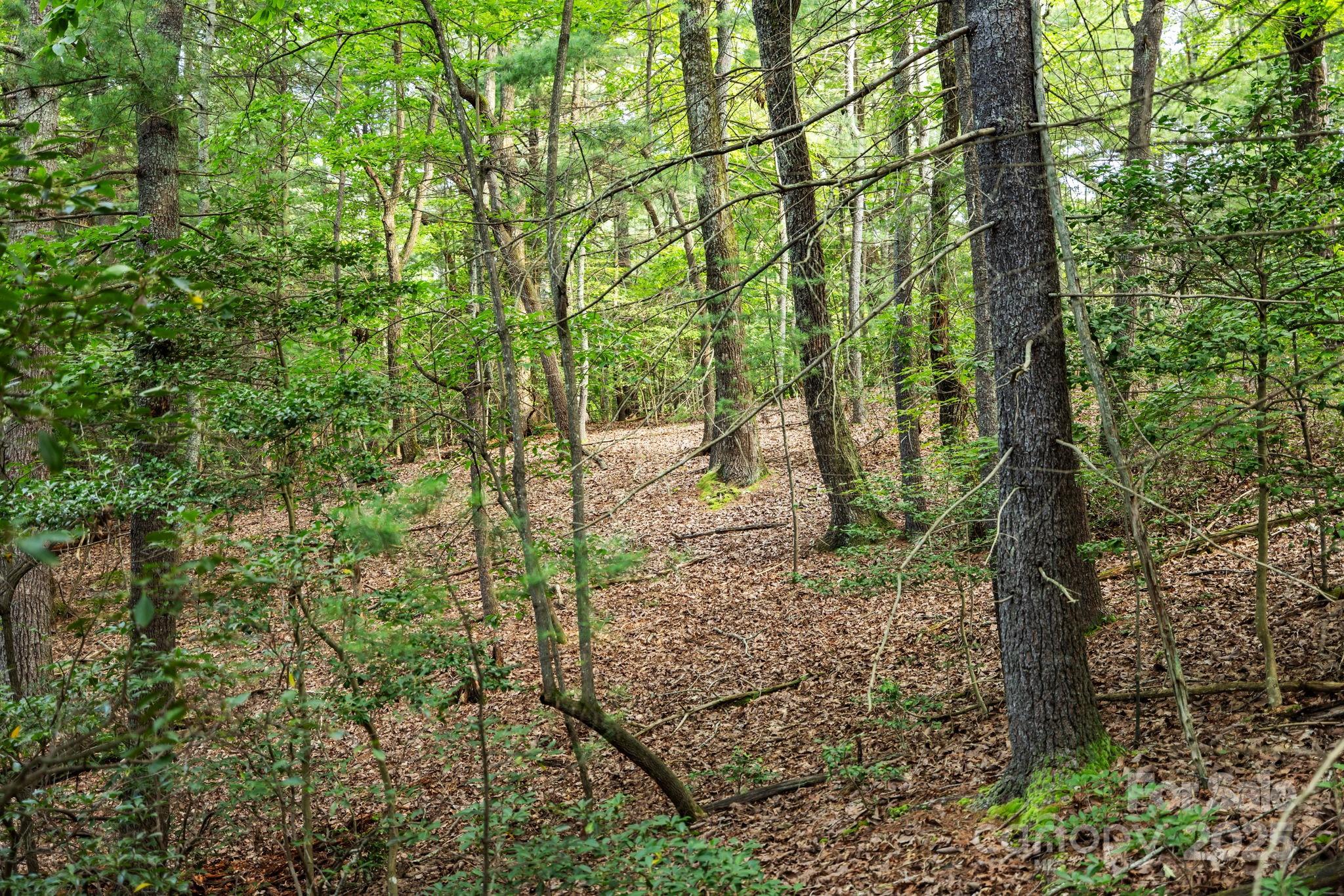 000 Thad Johnson Road Property Photo 20