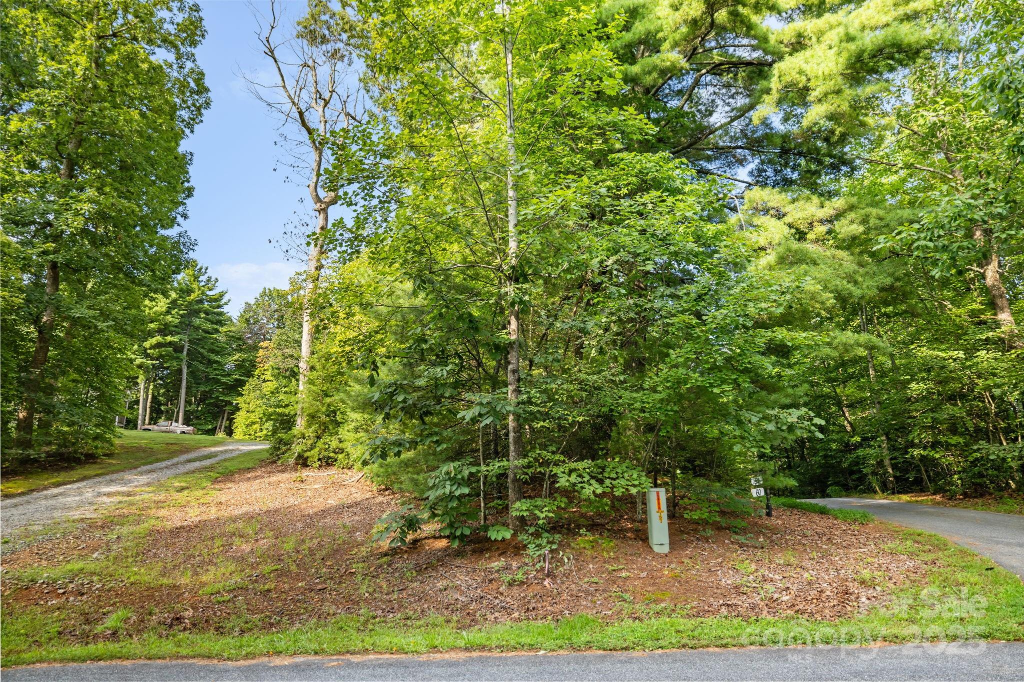 000 Thad Johnson Road Property Photo 26