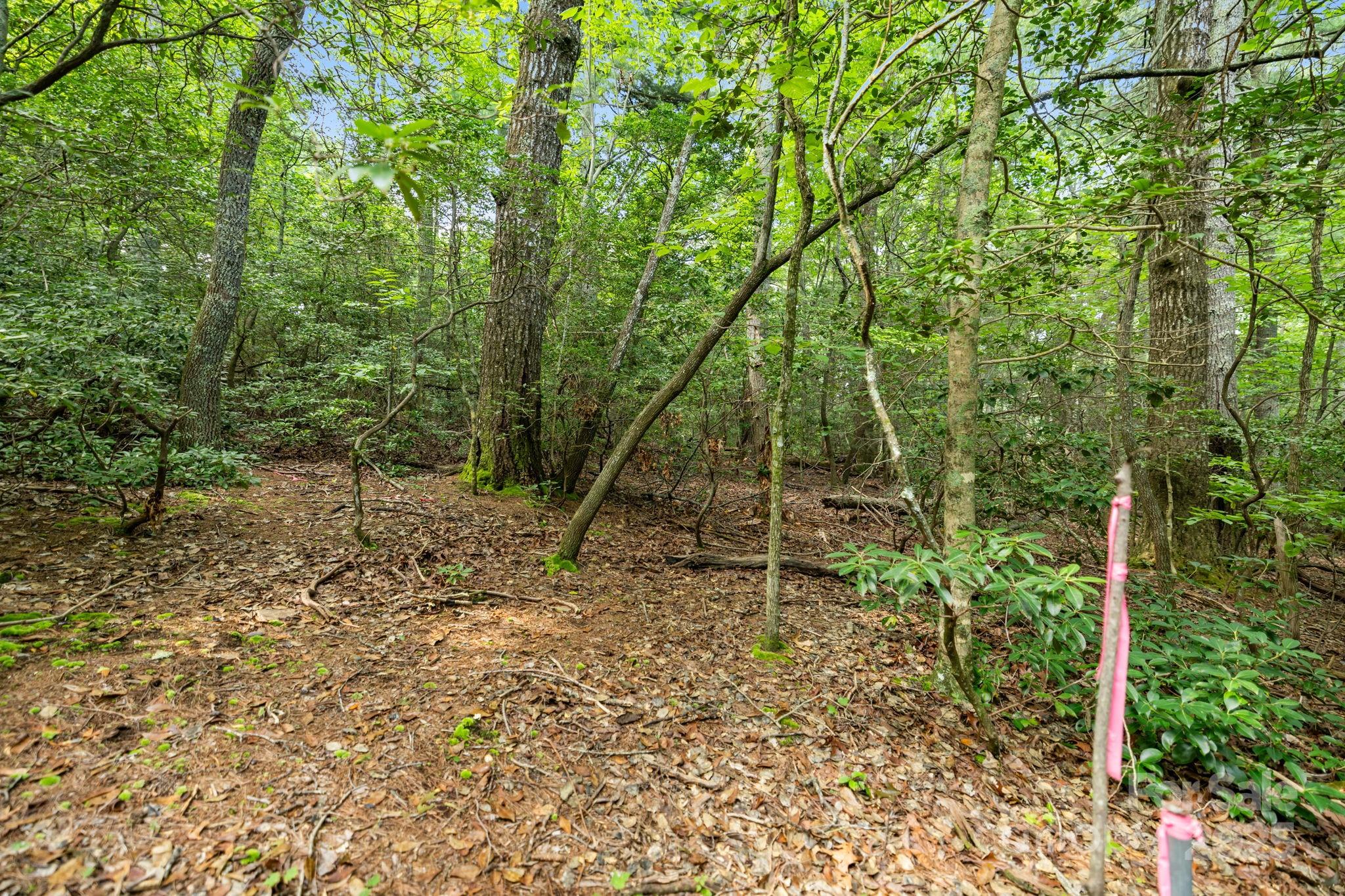 000 Thad Johnson Road Property Photo 27
