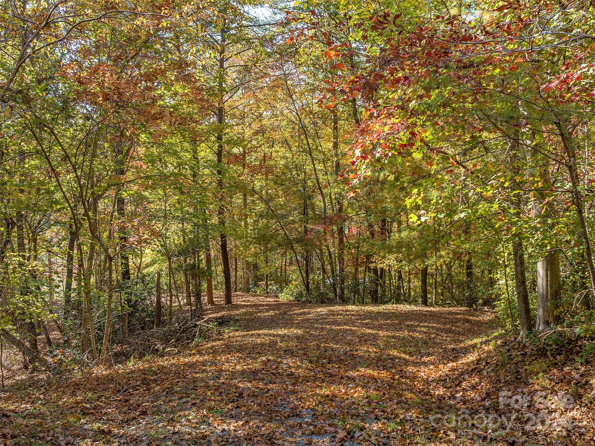 000 South Cove Road 17 Property Photo 12