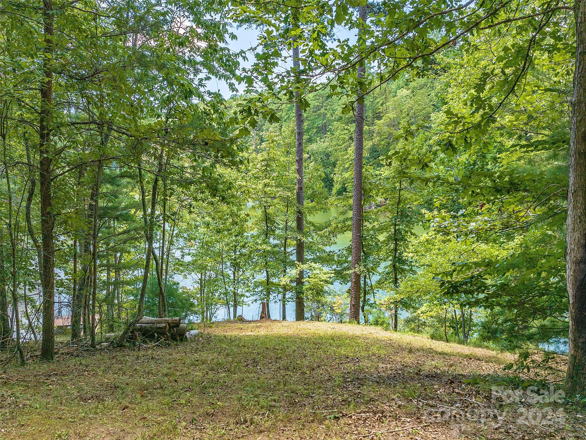 000 South Cove Road 17 Property Photo 26