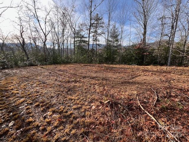 Lot 2 Tobacco Branch Road 2 Property Photo
