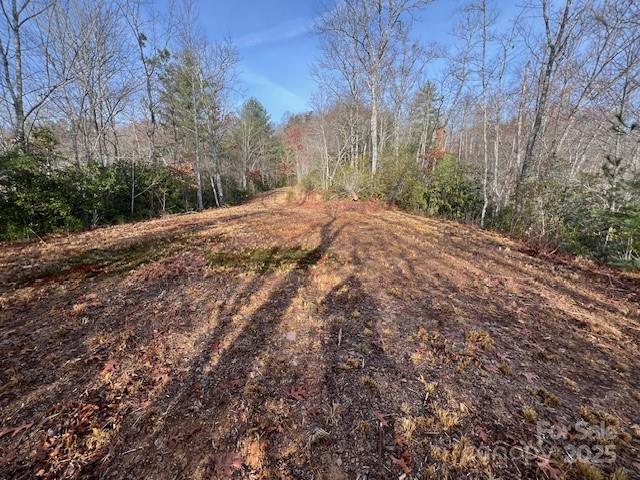 Lot 2 Tobacco Branch Road 2 Property Photo 2