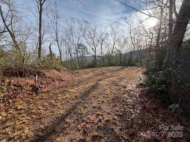 Lot 2 Tobacco Branch Road 2 Property Photo 3