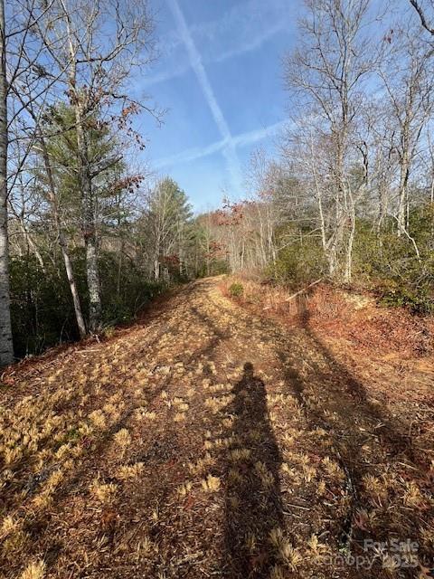 Lot 2 Tobacco Branch Road 2 Property Photo 4