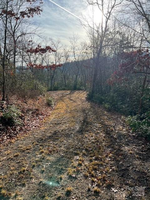 Lot 2 Tobacco Branch Road 2 Property Photo 8