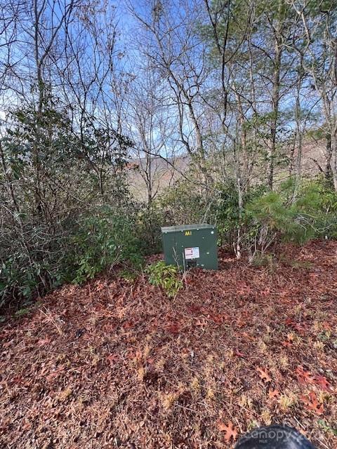 Lot 2 Tobacco Branch Road 2 Property Photo 9