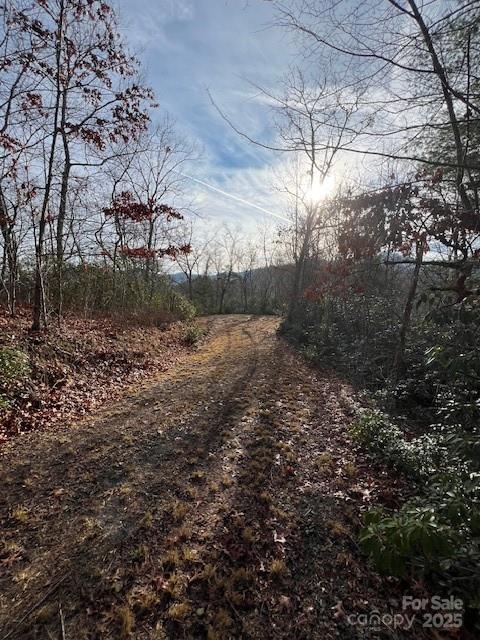 Lot 2 Tobacco Branch Road 2 Property Photo 10