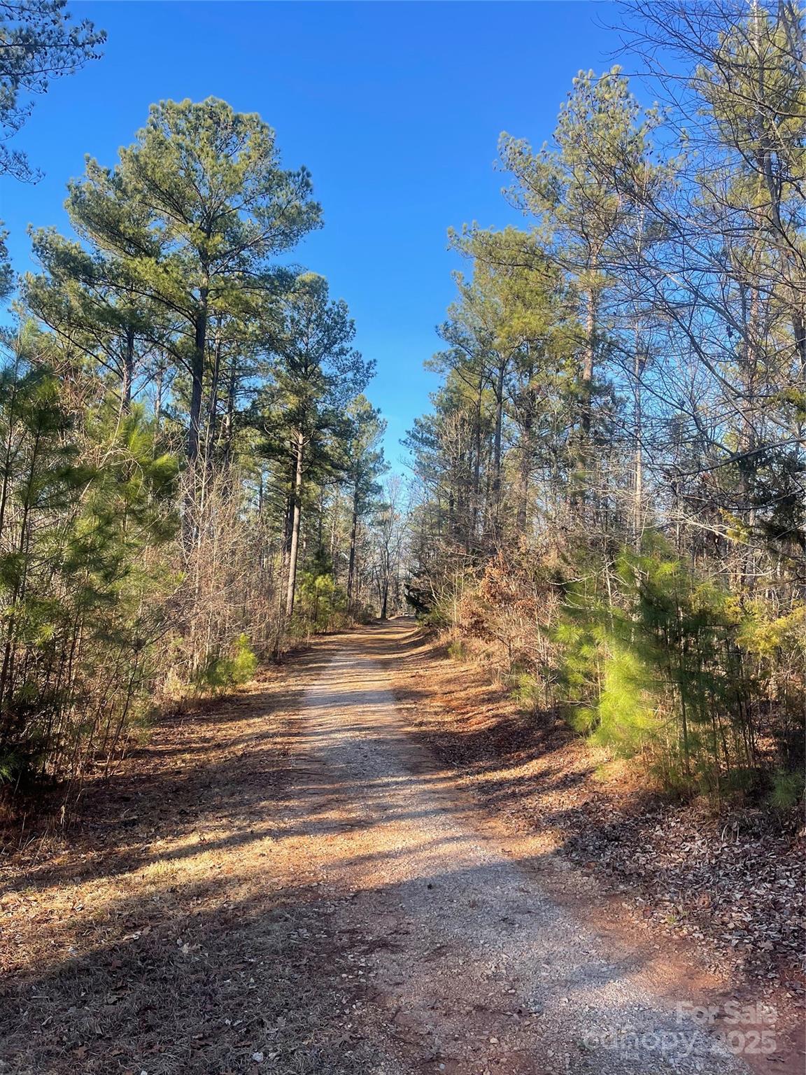 1386 Old Pinckney Road Property Photo 8