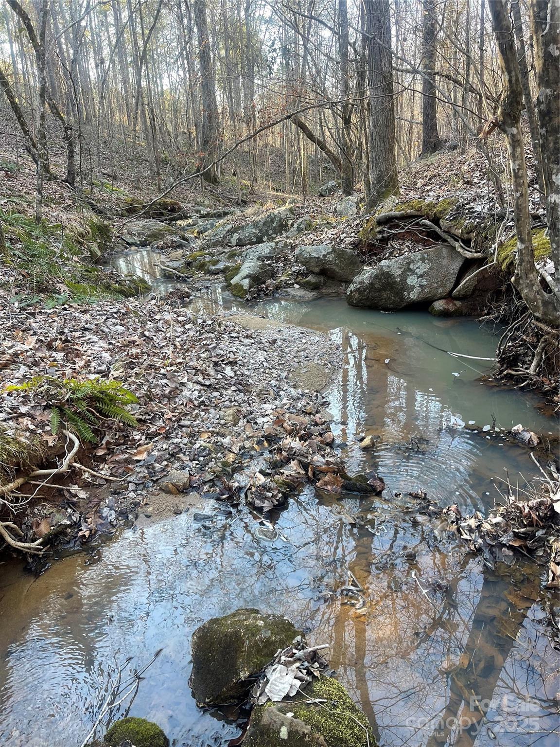 1386 Old Pinckney Road Property Photo 15