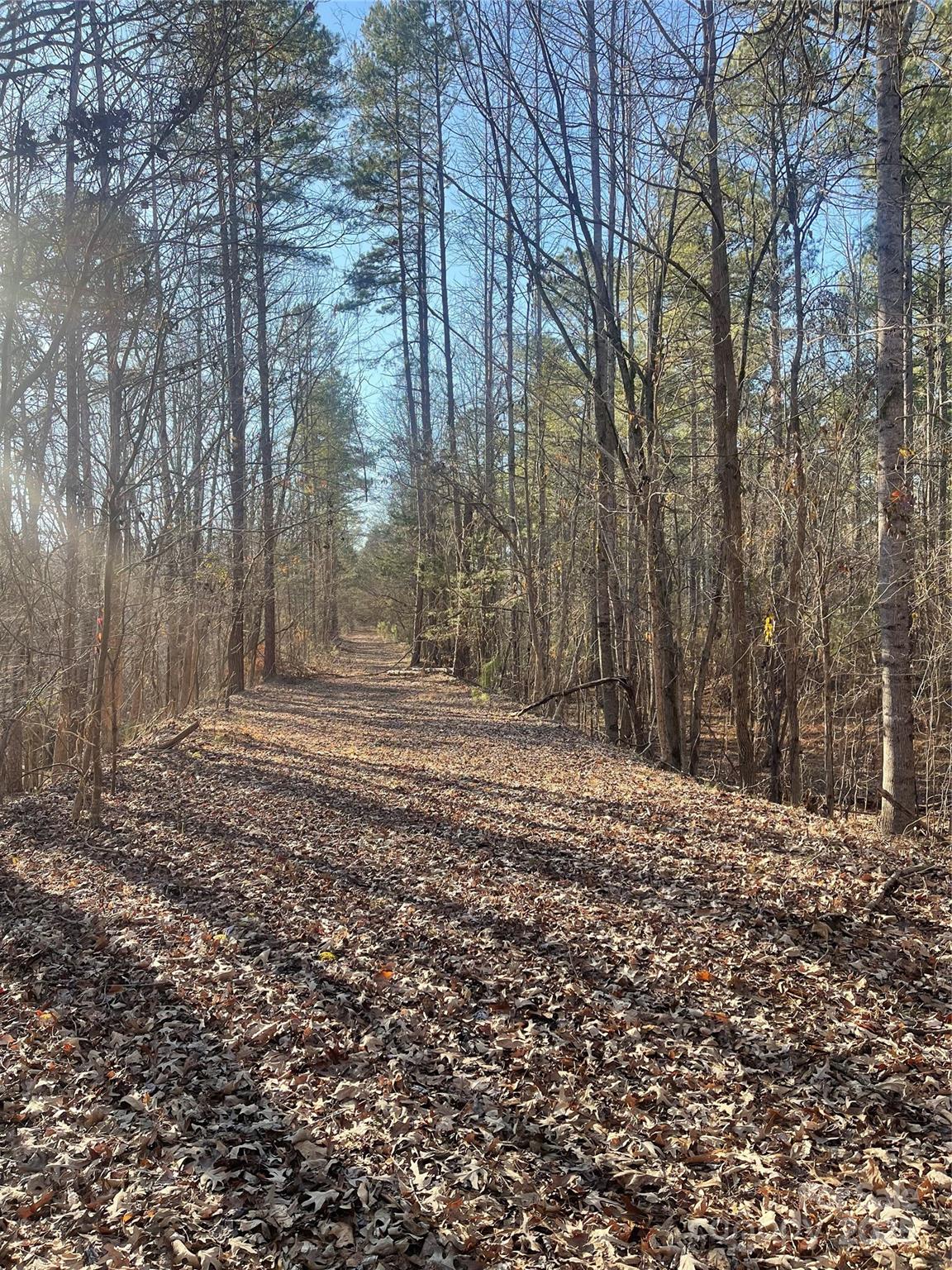 1386 Old Pinckney Road Property Photo 19