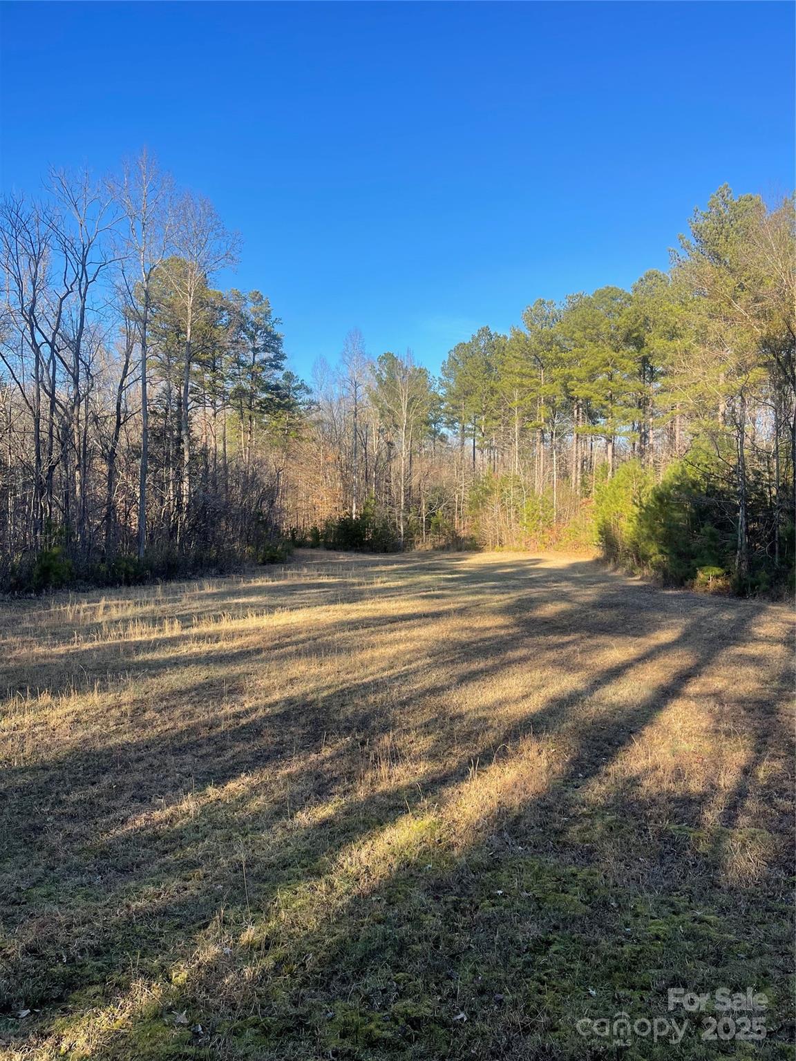 1386 Old Pinckney Road Property Photo 21