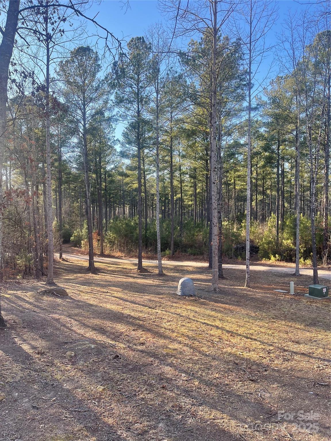 1386 Old Pinckney Road Property Photo 25