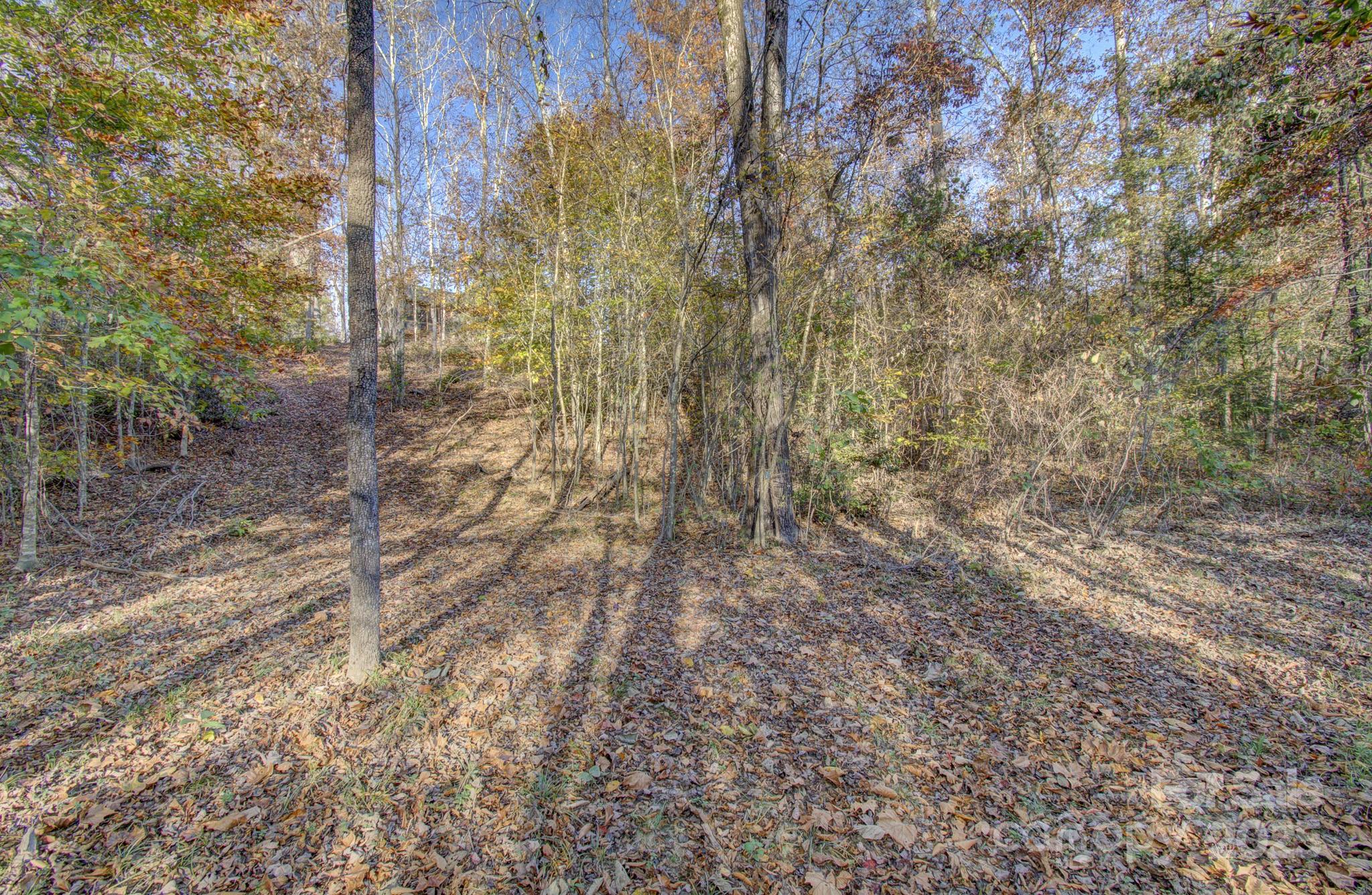 140 Cove Crest Drive Property Photo 33