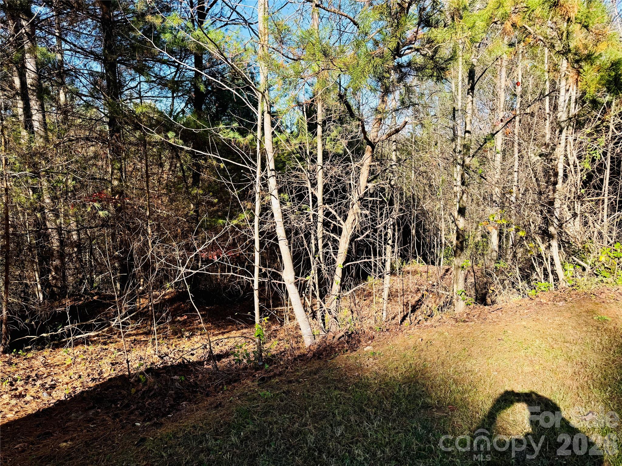 6.09 Acres, Lot 136/137 Johns Ridge Parkway 136/137 Property Photo 3