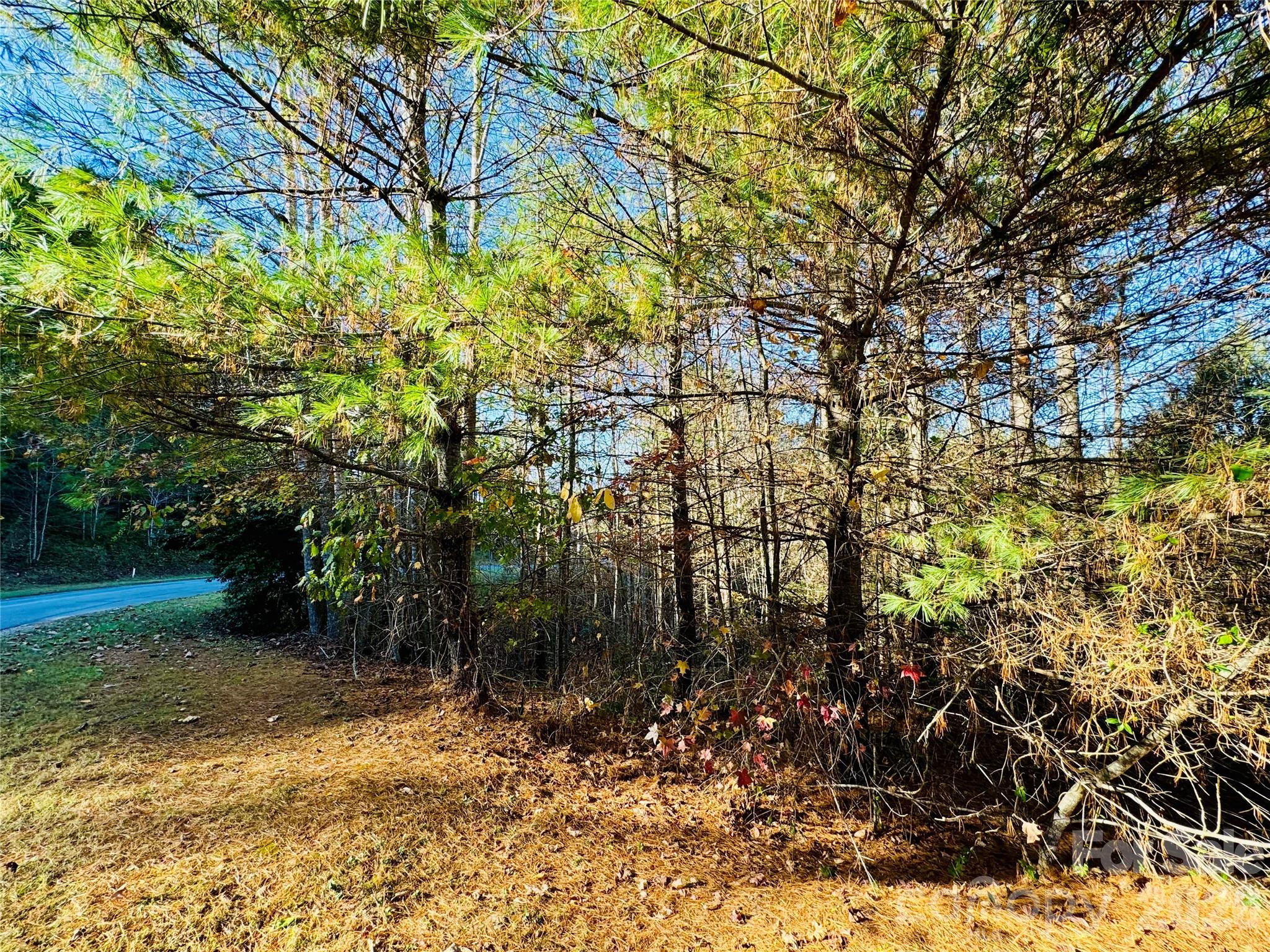 6.09 Acres, Lot 136/137 Johns Ridge Parkway 136/137 Property Photo 4