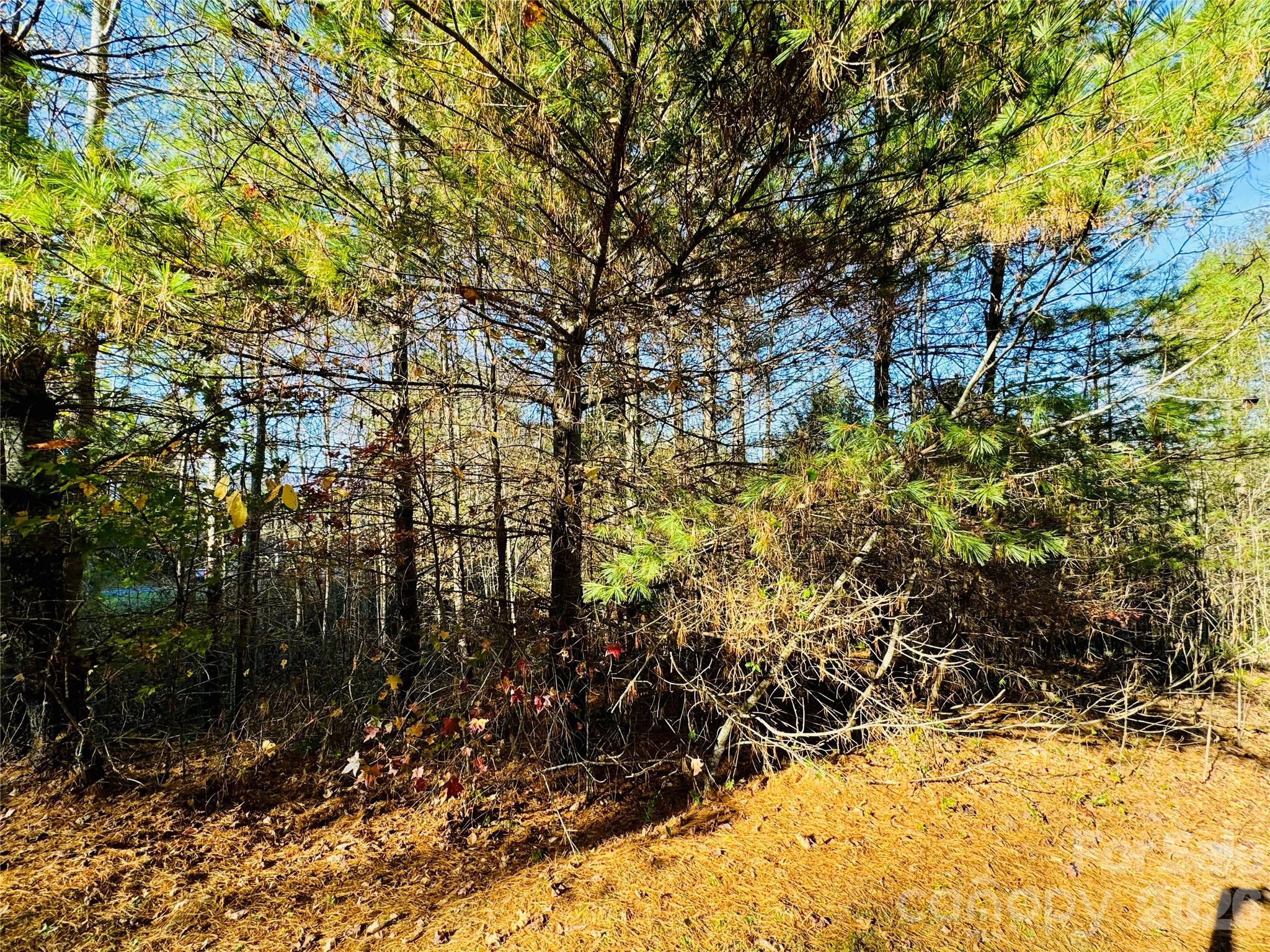 6.09 Acres, Lot 136/137 Johns Ridge Parkway 136/137 Property Photo 5