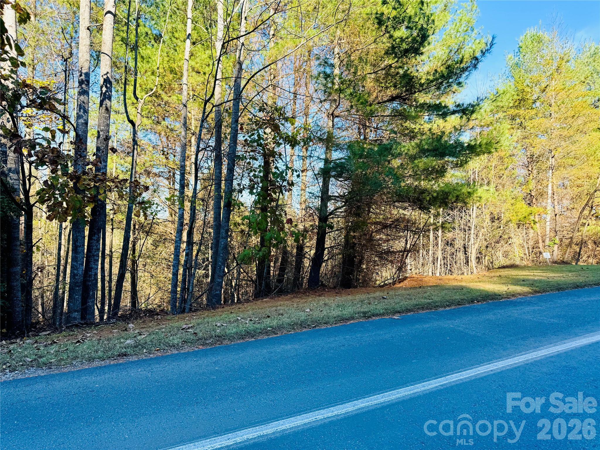 6.09 Acres, Lot 136/137 Johns Ridge Parkway 136/137 Property Photo 6