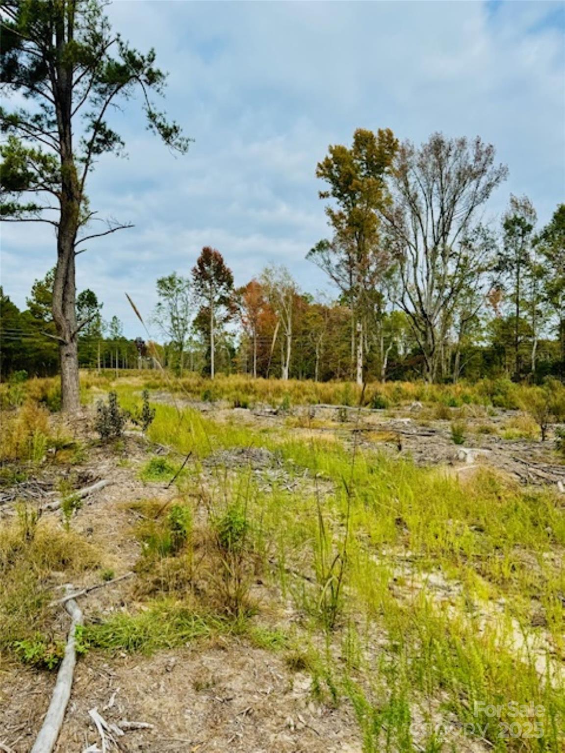 0000 Santa Anita Road Property Photo