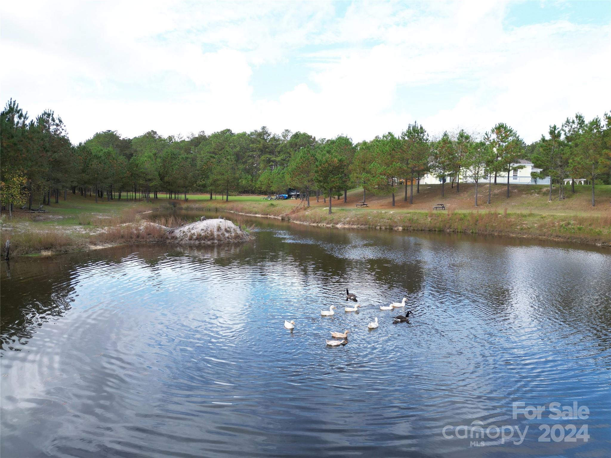 2034 Haileys Ferry Road Property Photo 16