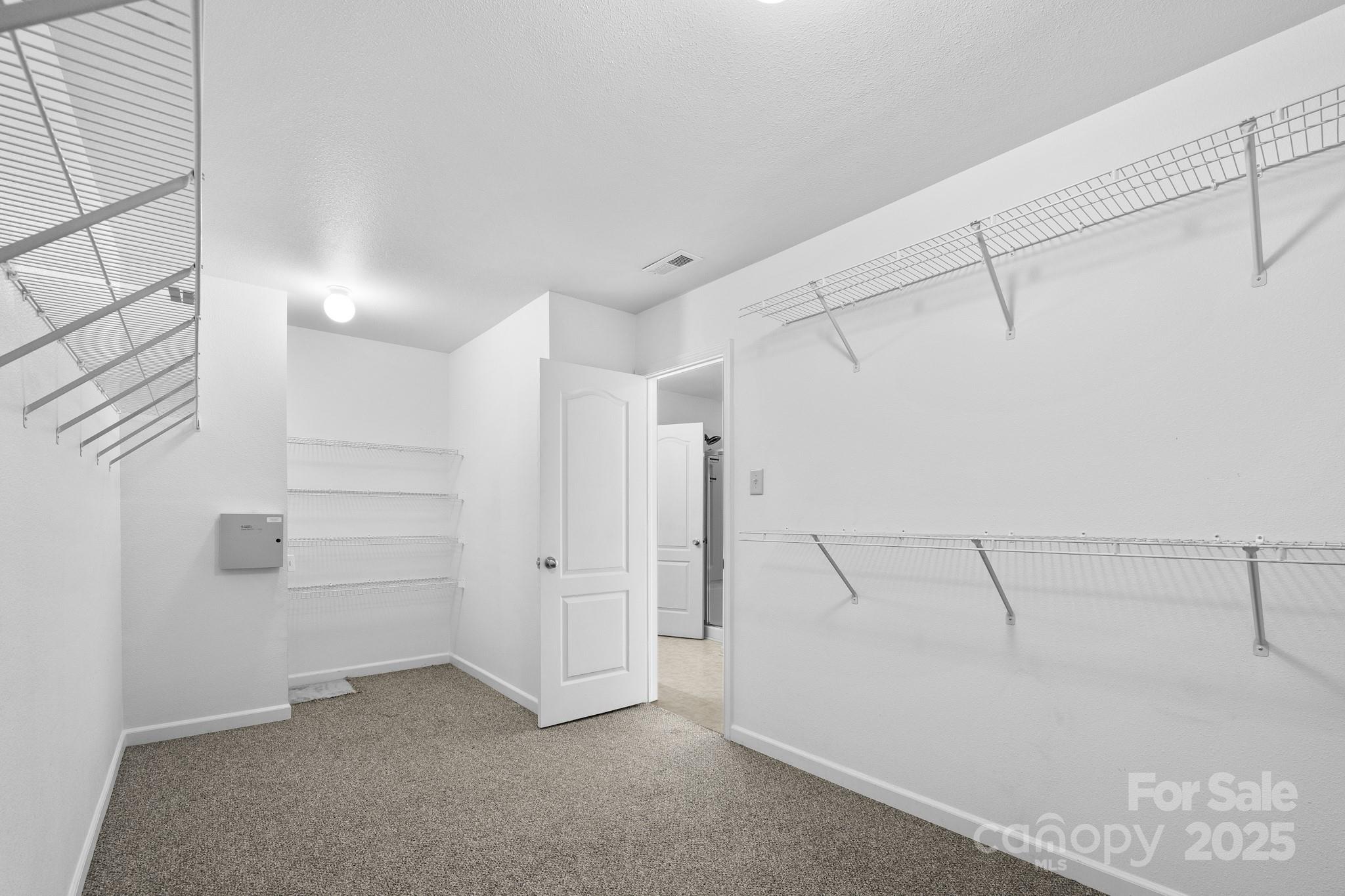 2318 Sweet Flag Court Property Photo 22