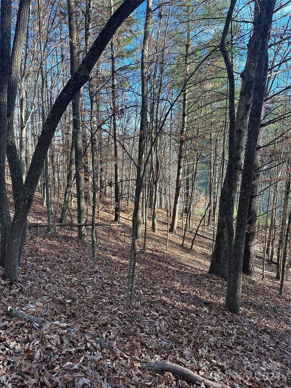 0000 Lickskillet Road Property Photo 17
