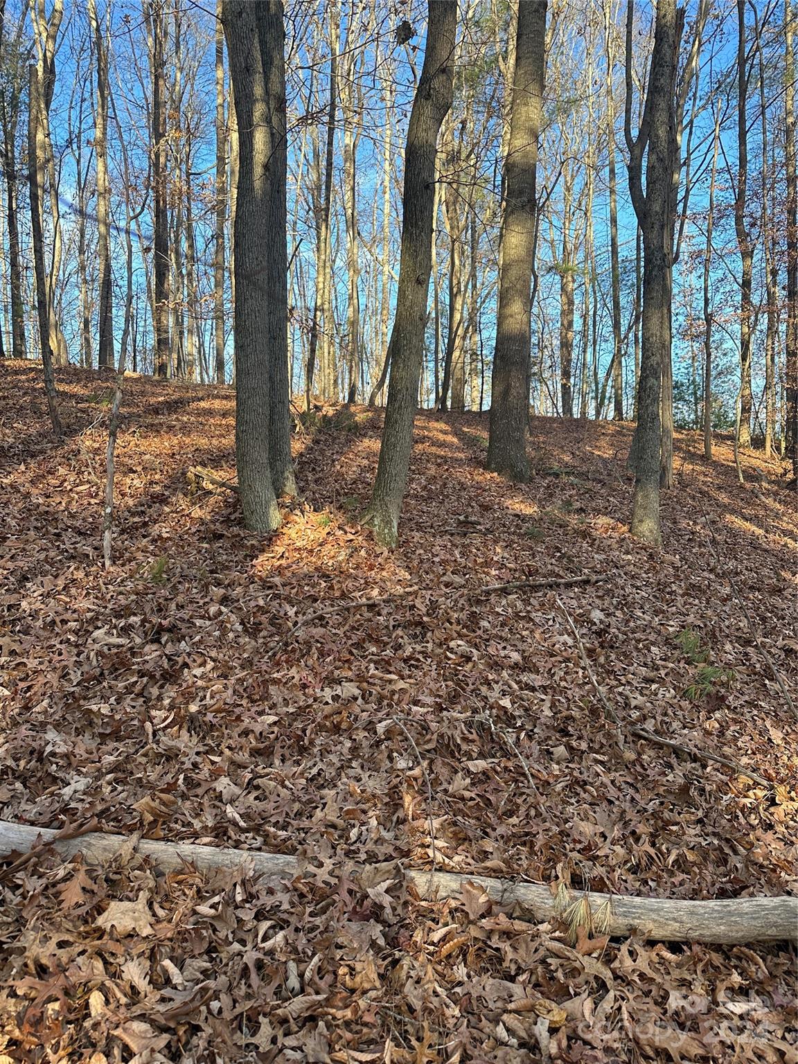 0000 Lickskillet Road Property Photo 18