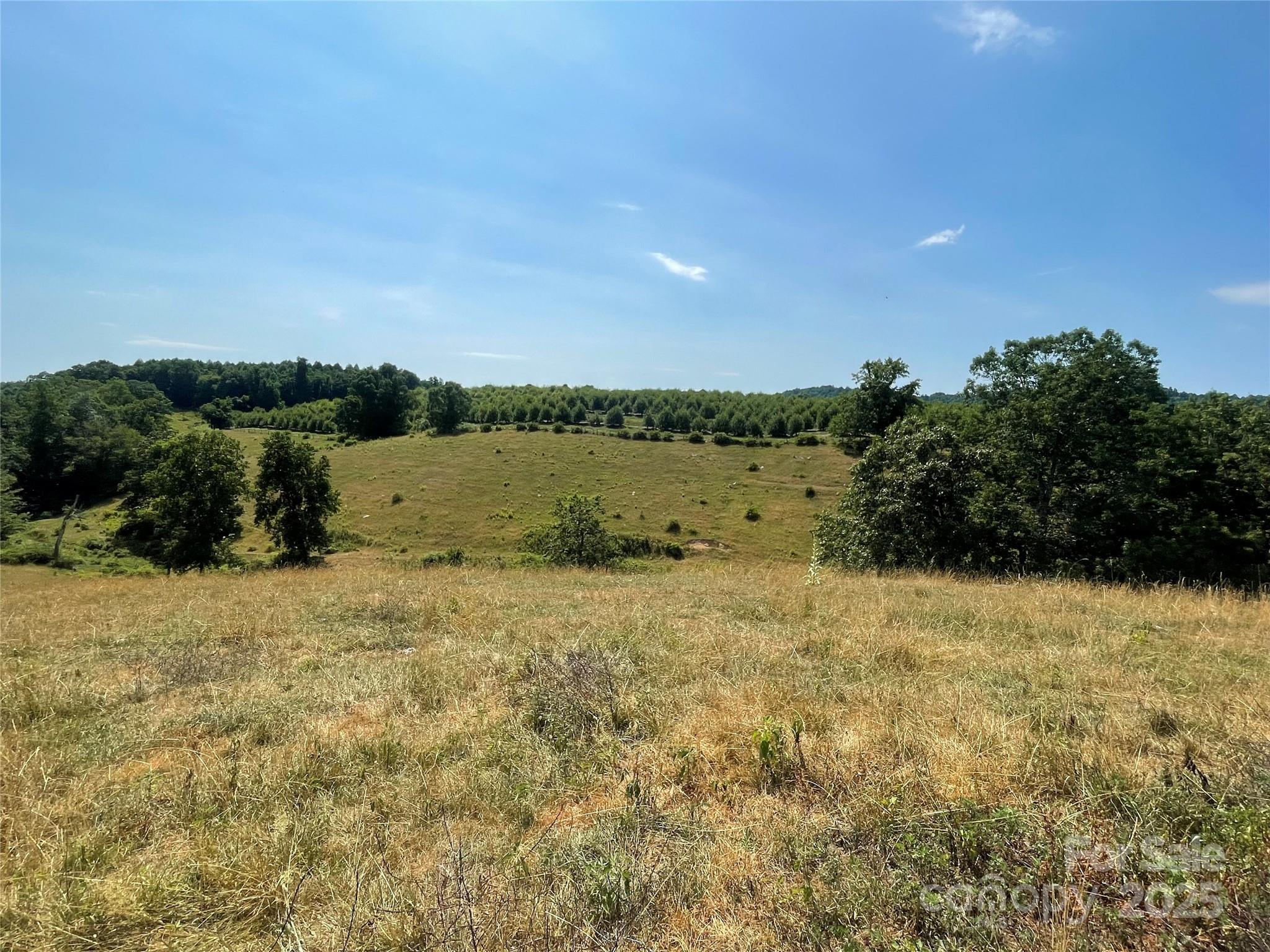 Tbd Summer Road Property Photo 6