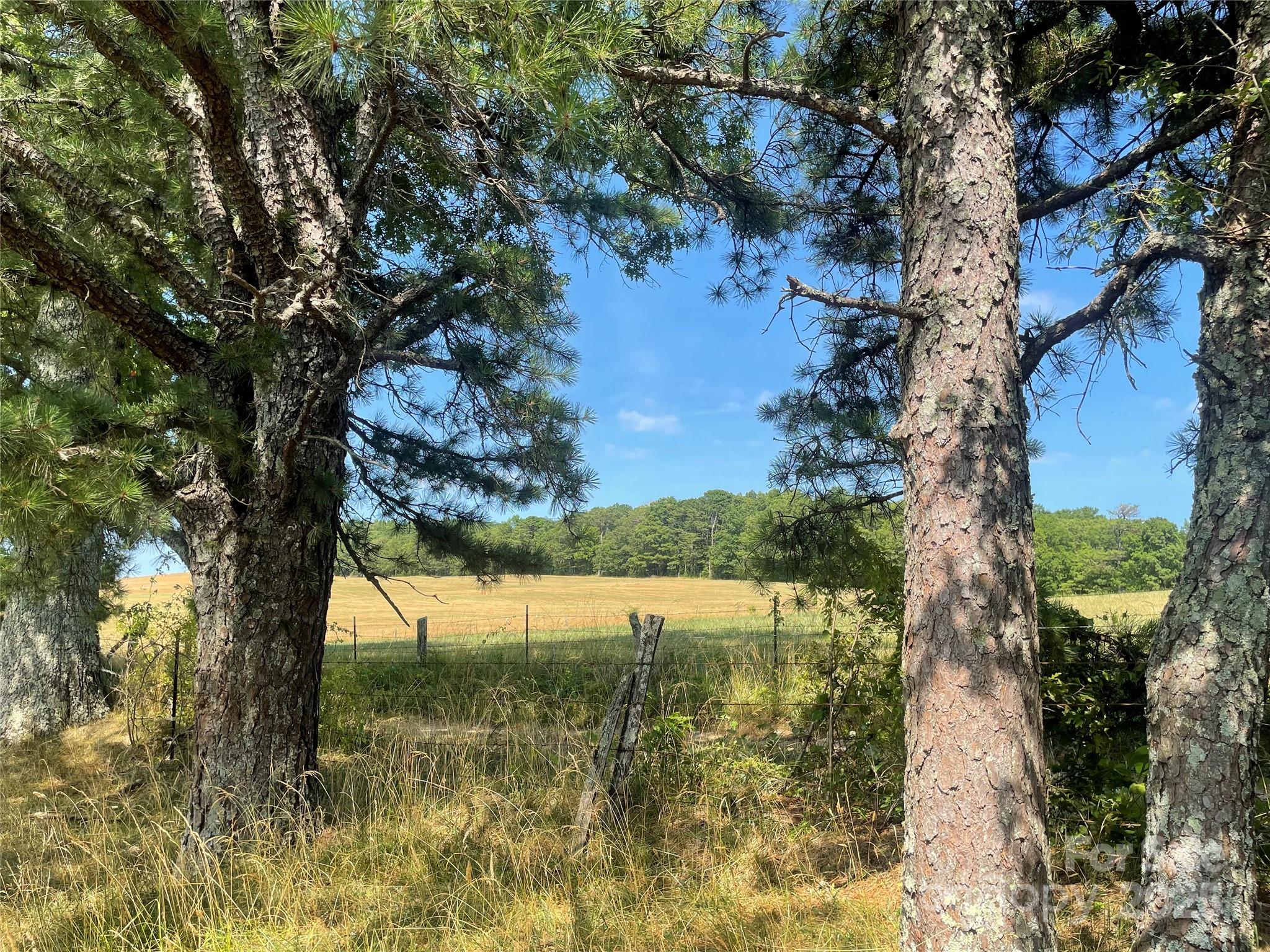 Tbd Summer Road Property Photo 10