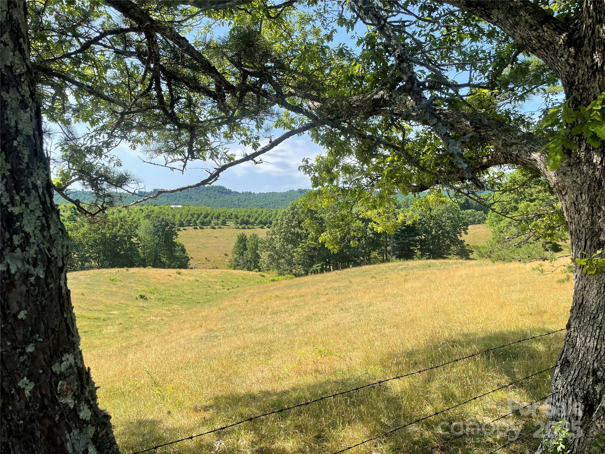 Tbd Summer Road Property Photo 11