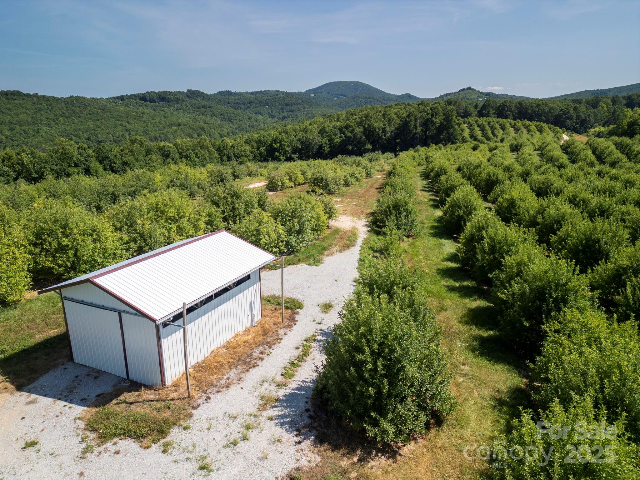 Tbd Summer Road Property Photo 14