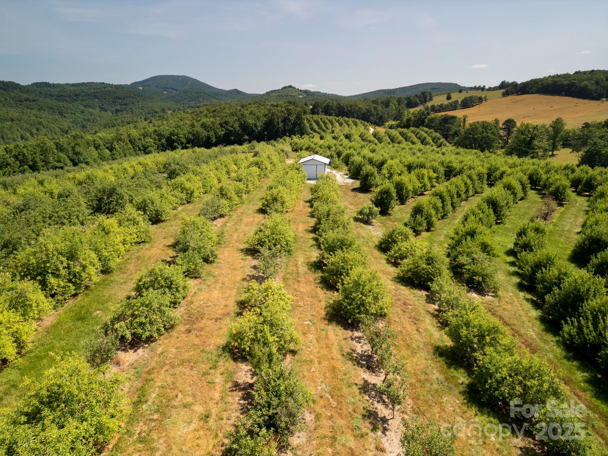 Tbd Summer Road Property Photo 16