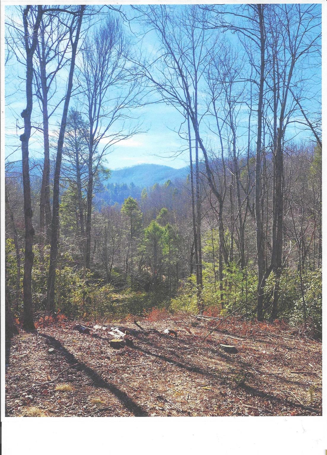 Lot #4 Windy Cove Lane Property Photo 2