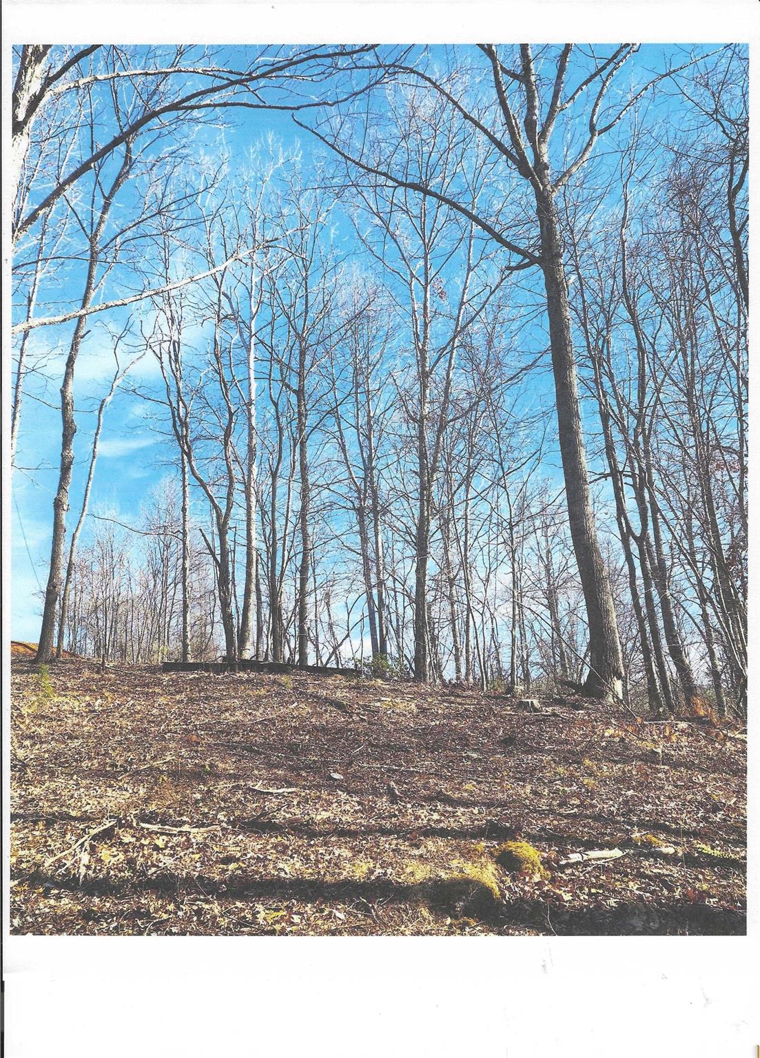 Lot #4 Windy Cove Lane Property Photo 4