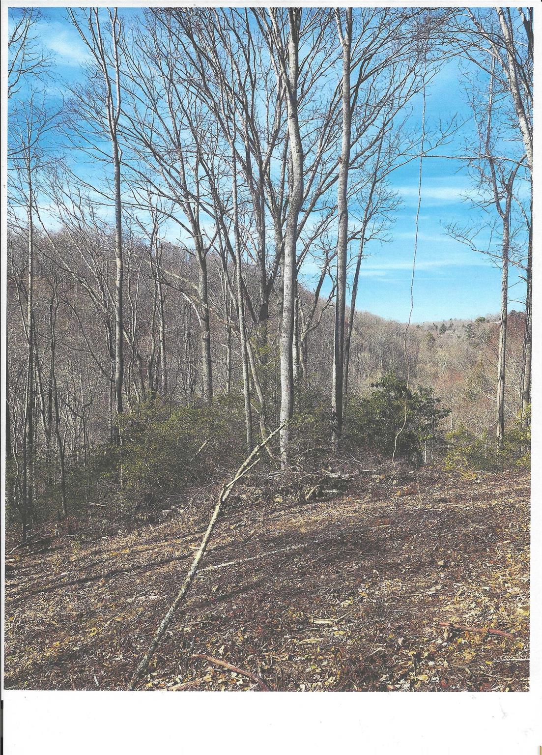 Lot #4 Windy Cove Lane Property Photo 5